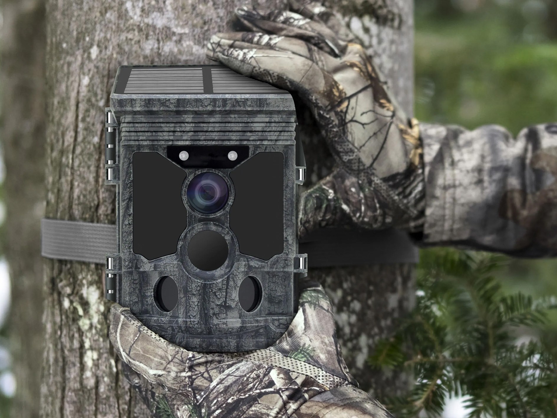 wildcamera stealth gear fox1